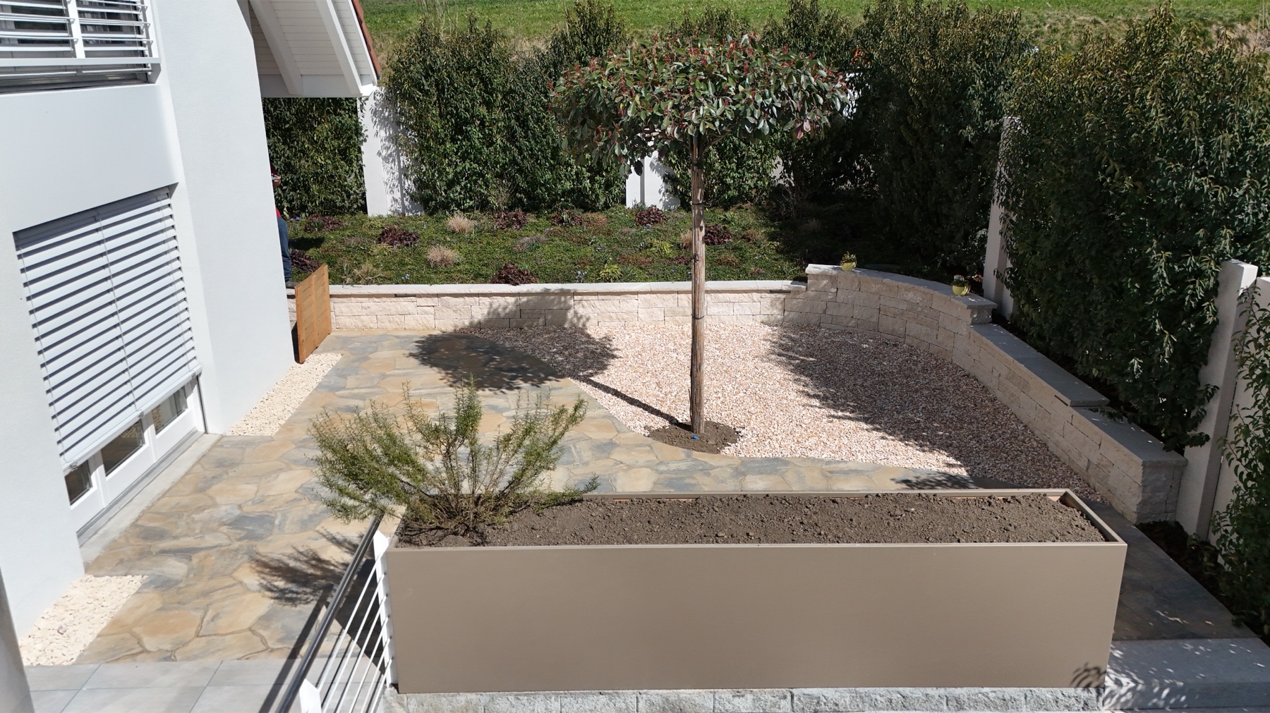 Vorgarten mit Kiesbeet und jungem Baum